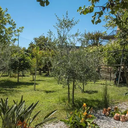 Praedia Scafati
